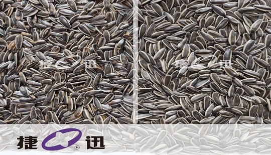 ใครช่วย Qiaqia Food Quality Supplier Tenghongyuan Trade เป็นผู้นำยุคใหม่แห่งคุณภาพ?
